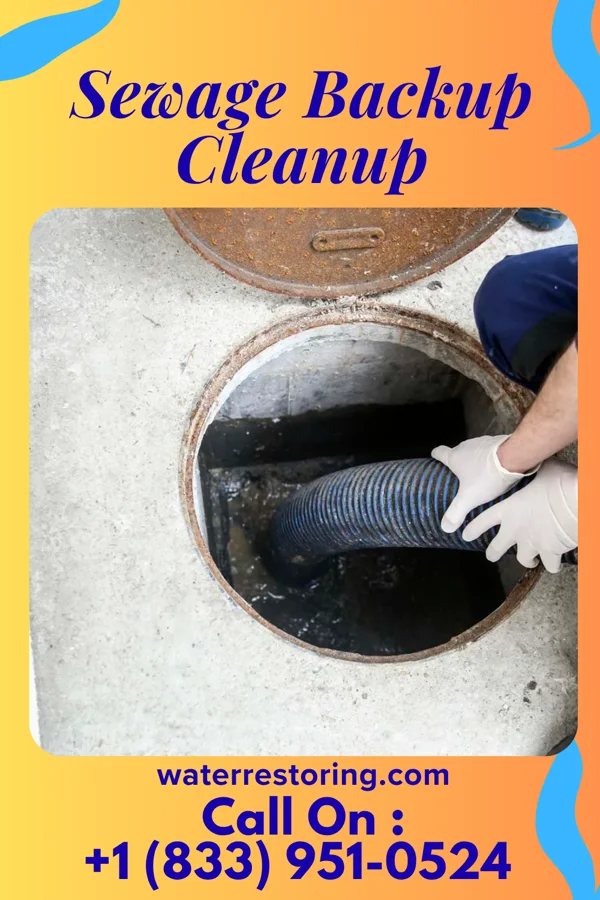 Sewage Backup Cleanup in Fredericktown, MO