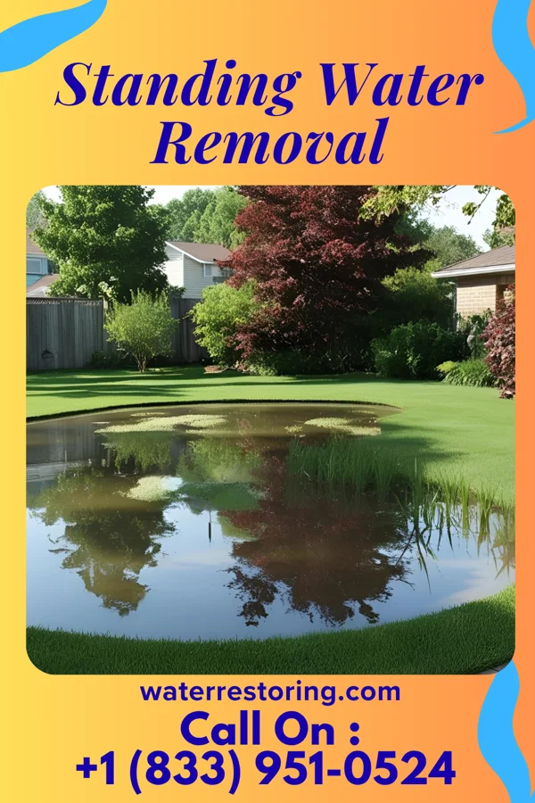 Standing Water Removal in Fredericktown, MO